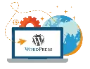 themes and plugines.webp
