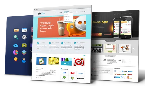 Complete Website Development 